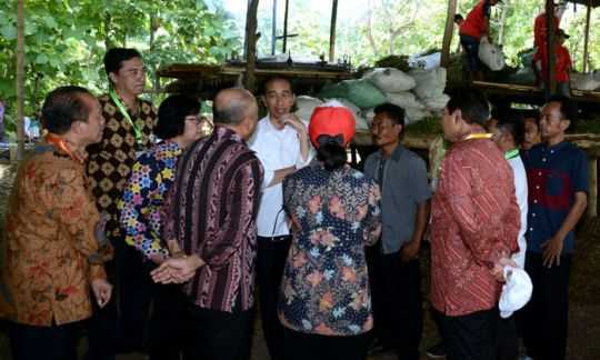 Serahkan SK Pengelolaan 1.890,6 Ha Lahan, Presiden Jokowi: Kalau Ditelantarkan, Kita Ambil Lagi