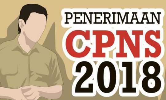 Inilah Ketentuan Rekrutmen CPNS 2018 Dari Jalur Fomasi Khusus
