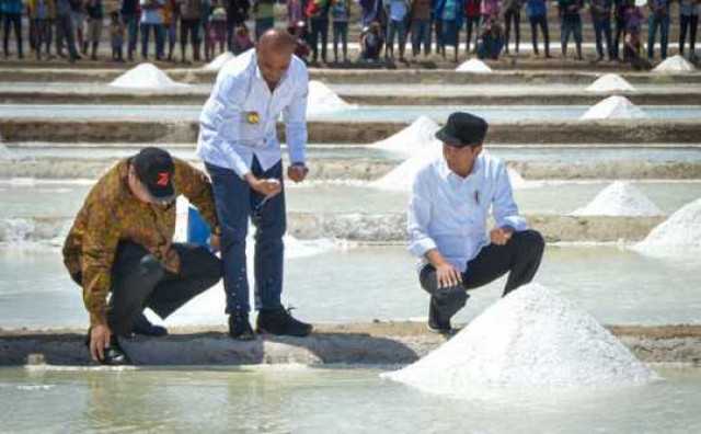 Presiden Jokowi: Garam NTT Hasilnya Lebih Bagus, Lebih Putih