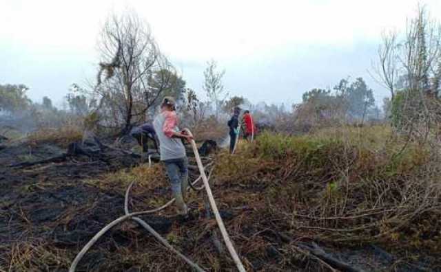 Penurunan Titik Panas Karhutla Capai 90% dalam Seminggu Terakhir