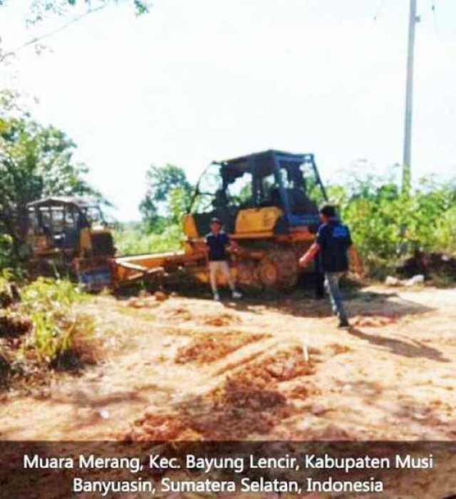 Terkait Ribuan Hektar HP Diduga Digarap Tanpa Izin, Aliansi Indonesi Desak Dinas Kehutanan Bertindak Tegas