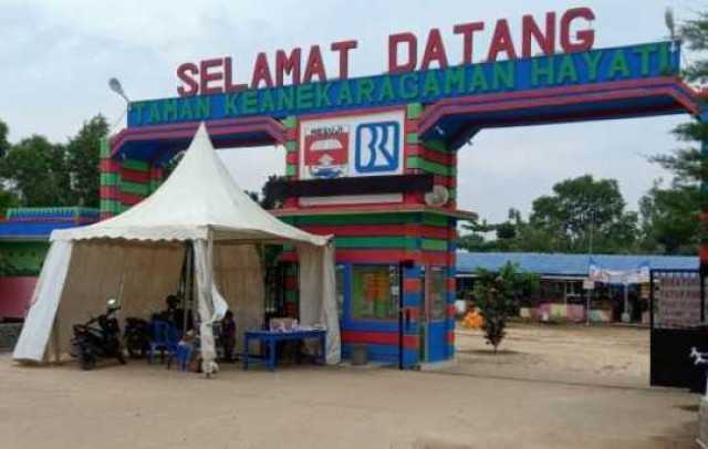 Waterpark Taman Kehati Dibuka, Bendahara LAI Lampung: "Perketat Protokol Kesehatan!"