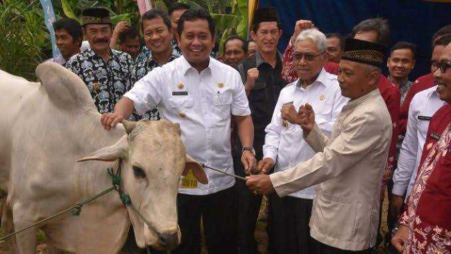 Lembaga aliansi indonesia wilayah sumsel segera laporkan dugaan UPPO Desa telang rejo ke aparat yang berwenang..!!