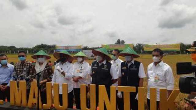 Menteri Pertanian Didampingi Gubernur Dan Bupati Hadiri Panen Raya
