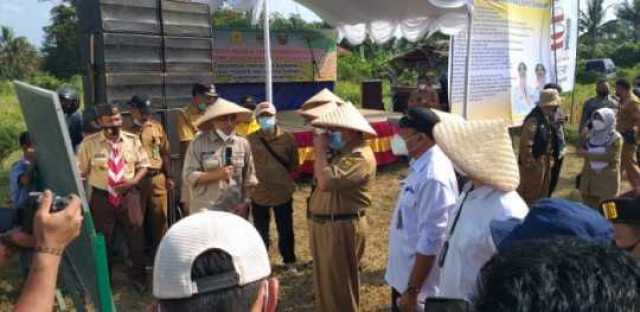 Panen Kedelai, Bupati Sukabumi" Kita Ingin Tiap Daerah Punya Komoditas Unggulan"