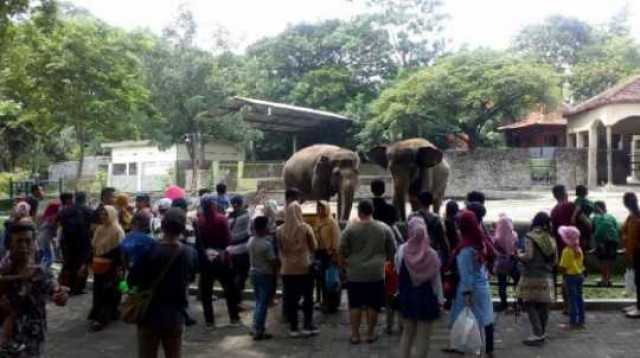 ASN Berani Nekat Cuti Saat Libur Nataru, Ini Ancaman Keras dari Kepala BKN