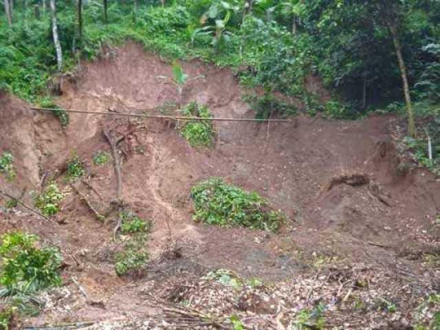 Petani di Ciminyak, Kabupaten Lebak, Mengeluh Irigasi Rusak 