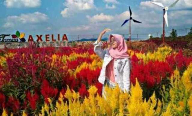 Perizinan Resto & Taman Axelia Ambarawa Resmi dan Lengkap, Tidak Ada Peraturan yang Dilanggar