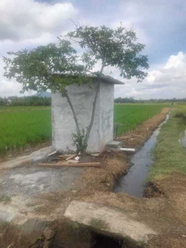 Aneh, Oknum Dinas Pertanian Kelola Proyek Swakelola