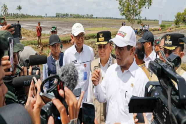 Program Optimalisasi Lahan Rawa Guna Mengejar Peningkatan Produksi ...