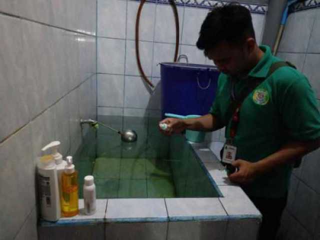 5 Tips menghindari Virus Nyamuk Aedes Aegypti