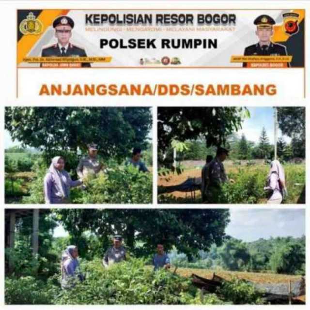 Bhabinkamtibmas Wilayah Hukum Polsek Rumpin Dampingi Petani Desa Mekarsari dalam Program Ketahanan Pangan.