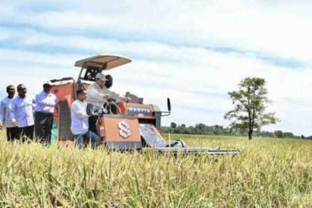 Panen Raya Serentak: Produksi Beras Naik 52 Persen, Jatim Tertinggi