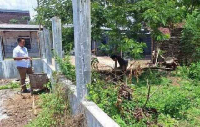Sapi Hibah untuk Petani Karanganyar Dijual, Mentan Murka!