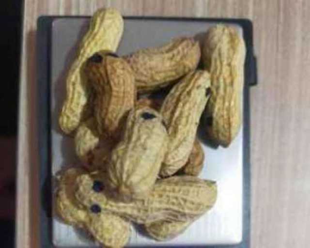 Peredaran Sabu dalam Kacang Kulit, Modus Baru yang Dibongkar Polisi