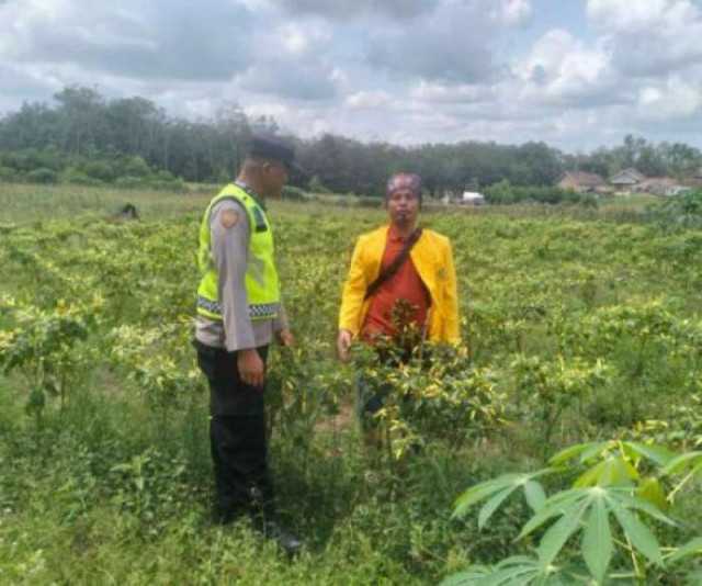 Dukung Ketahanan Pangan, Bhabinkamtibmas Lakukan Pengecekan Tanaman Pangan Cabe