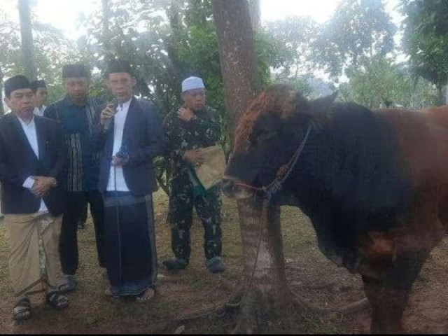 Wabub Jaro Ade, Serahkan Sapi Kepengurus Masjid Baitul Faidzin.