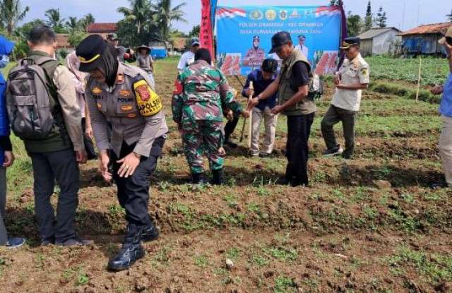 Kapolsek Dramaga Bersama Kepala Desa Purwasari Di Dukung Camat Dramaga Dan Juga Danramil Kecamatan Ciomas, Dukung Asta Cita Program Ketahanan Pangan Presiden RI Dan Wakil Presiden RI.