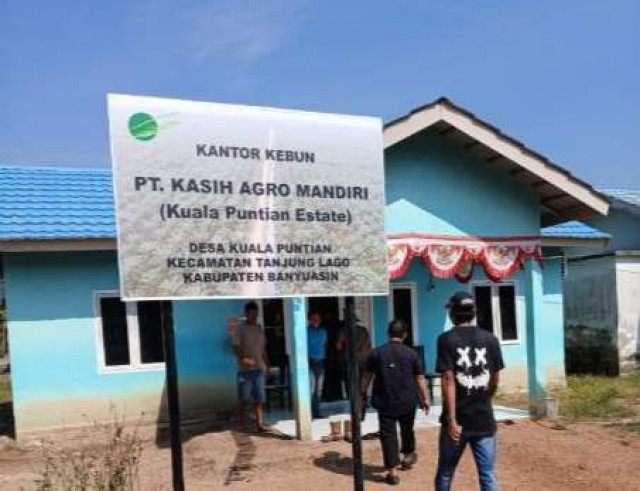Diduga Ada Kongkalikong, Koperasi Kenten Jaya Mandiri dan PT Kasih Agro Mandiri Tanam Plasma di Lahan Warga Tanpa Izin