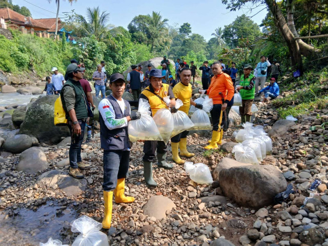 Tebar Benih Ikan di Sungai Cigamea, Wujud Pelestarian Lingkungan di Kecamatan Pamijahan