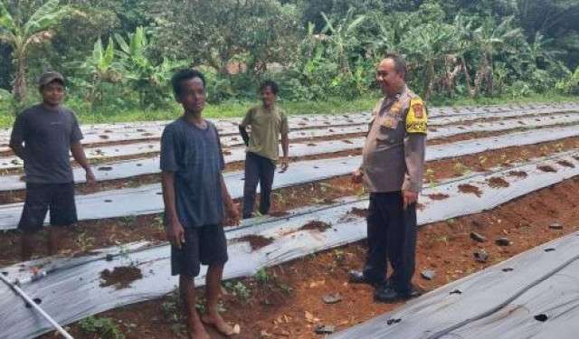 Bhabinkamtibmas Polsek Rumpin Polres Bogor Sambang Warga, Sampaikan Himbauan Kamtibmas Saat Monitoring Kelompok Tani 