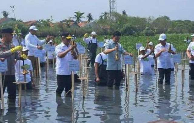 Kembalikan fungsi lahan, Wapres Gibran tanam Mangrove di Tangerang
