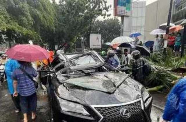 Pengemudi mobil mewah yang tewas tertimpa pohon ternyata mantan bos Danareksa, ini profil singkatnya