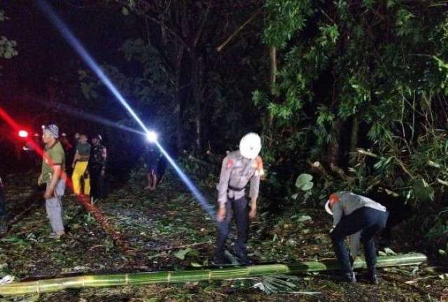 Reaksi Cepat Tim SAR Sat Brimob Polda Jabar Evakuasi Pohon Tumbang di Sumedang