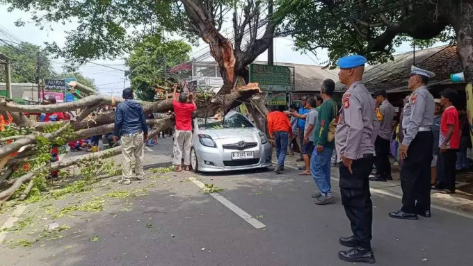 Mobil berisi ibu dan anak tertimpa pohon tumbang di Tangsel