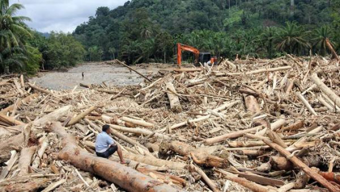 Misteri kayu gelondongan terbawa banjir mulai terungkap, kerusakan lingkungan di dua hulu sungai ditemukan