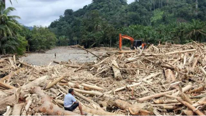 Pemerintah izinkan warga manfaatkan kayu gelondongan pasca banjir Sumatera
