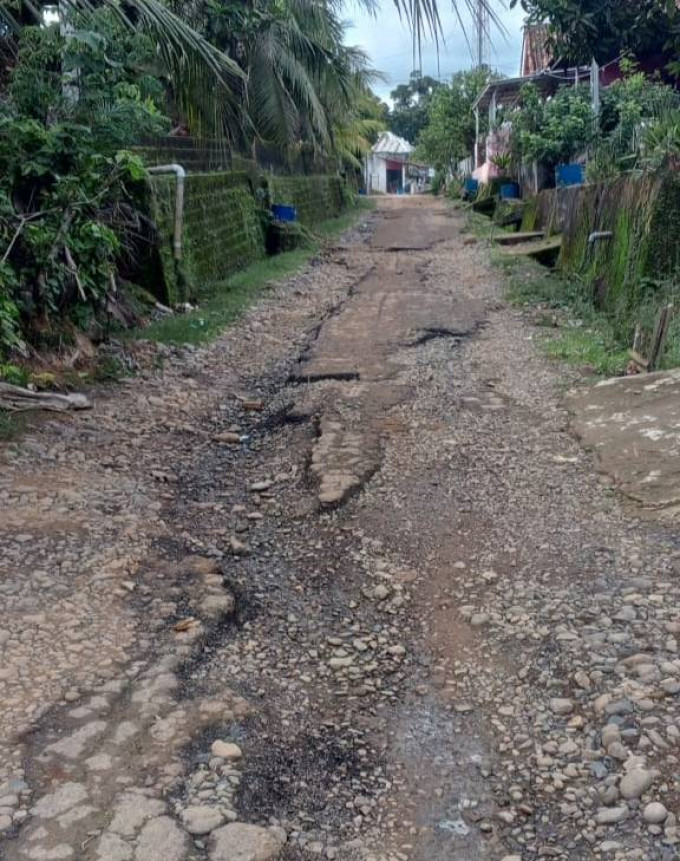 Warga Dusun 4 Desa Sungai Dua Keluhkan Kondisi Jalan Rusak, Minta Segera Diperbaiki