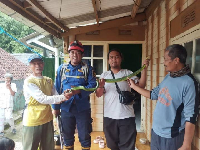 Dinas Damkar dan Penyelamatan Kabupaten Sukabumi Laksanakan Operasi Non Kebakaran, Berhasil Evakuasi Ular di Cibadak
