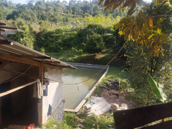 Polsek Nanggung: Tidak ada pengolahan emas ilegal di Gunung Dahu, Bogor