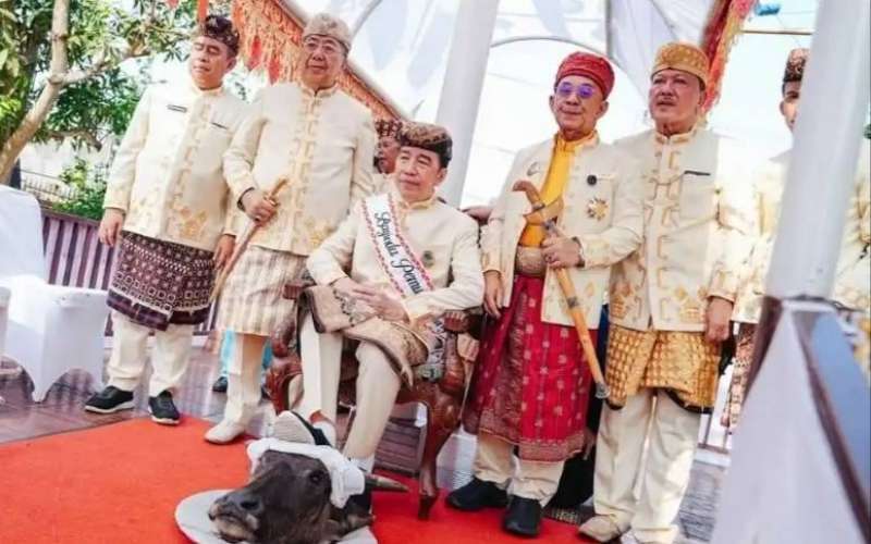 Jokowi jalani ritual injak kepala kerbau saat terima gelar adat, PDIP sewot