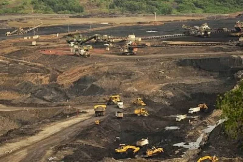 Koperasi diizinkan kelola pertambangan hingga industri kelapa sawit