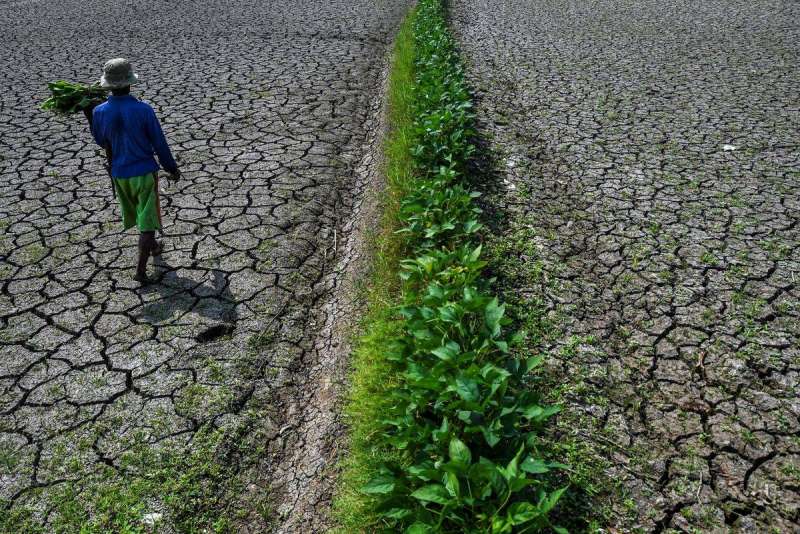 Kekeringan mengancam, BMKG: Saat ini El Nino masuk kategori kuat