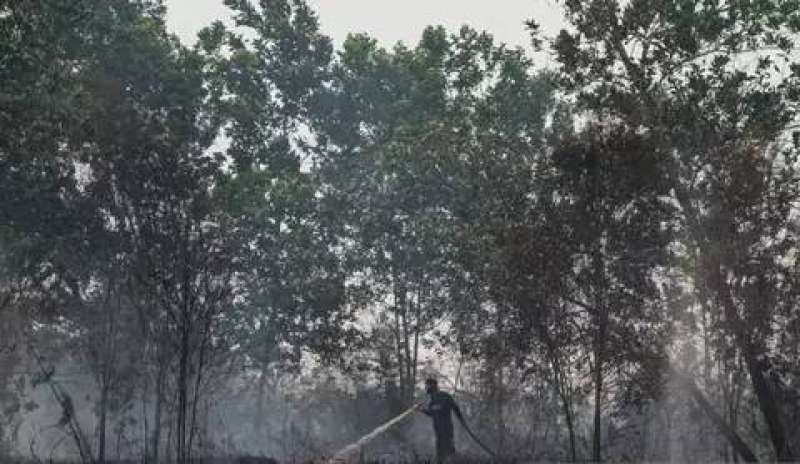 Karhutla di Palangka Raya meluas, status tanggap darurat diberlakukan