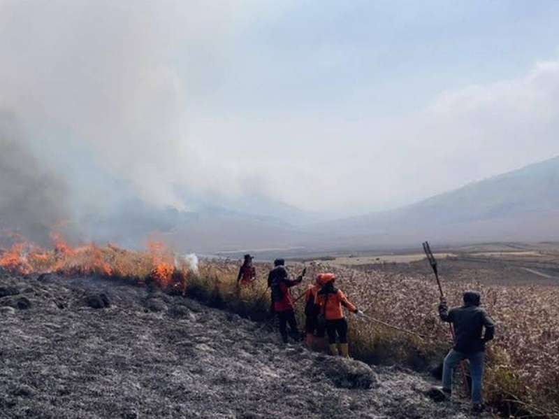 Karhutla Gunung Bromo meluas, jalur wisata ditutup sementara