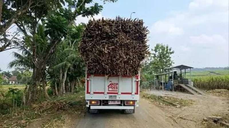 Terciduk! Truk Kopdes Merah Putih dipakai angkut tebu di Sragen