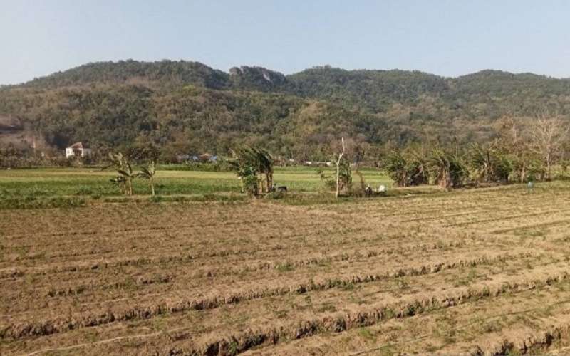 Status siaga darurat kekeringan di Gunungkidul diperpanjang