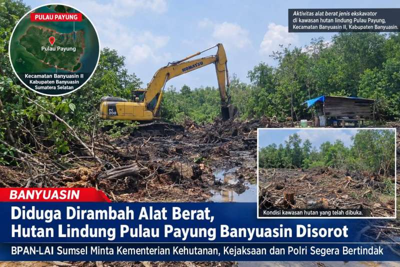 Diduga Dirambah Alat Berat, Hutan Lindung Pulau Payung Banyuasin Disorot