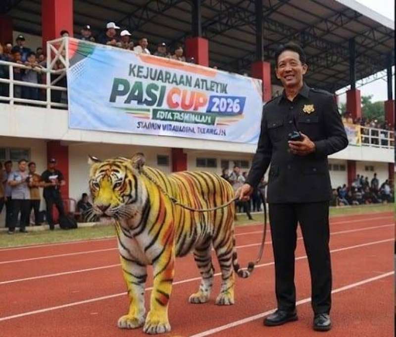 5 Langkah Strategis dari DPC LSM Maung Kota Tasikmalaya Agar Bibit Atlet PASI Cup 2026 Terus Dibina 