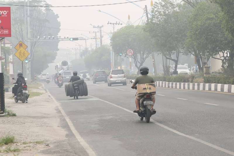 Karhutla dan kabut asap makin parah, Aliansi Kalteng gelar Demo 19 Oktober