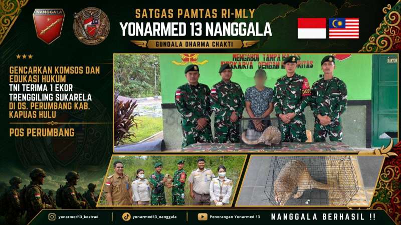 Gencarkan Komsos dan Edukasi Hukum, Satgas Pamtas Yonarmed 13/Nanggala Terima Penyerahan Sukarela 1 Ekor Trenggiling Hidup dari Warga Perbatasan