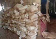 Tambang Emas Ilegal Marak di Desa Banyuresmi Kecamatan Cigudeg