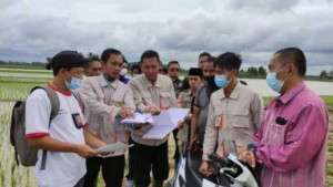 Menguasai dan Menjual Harta Warisan Milik Neneknya Tanpa Hak, Idris Bin Munsir digugat Alena CS