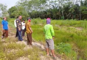 Ribuan Hektar Sawah RJU Terancam Tak Tertanami