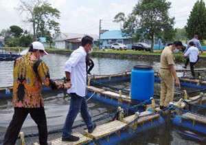 Memburu Jelawat di Jantung BPBAT (Bagian 2)