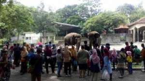 ASN Berani Nekat Cuti Saat Libur Nataru, Ini Ancaman Keras dari Kepala BKN